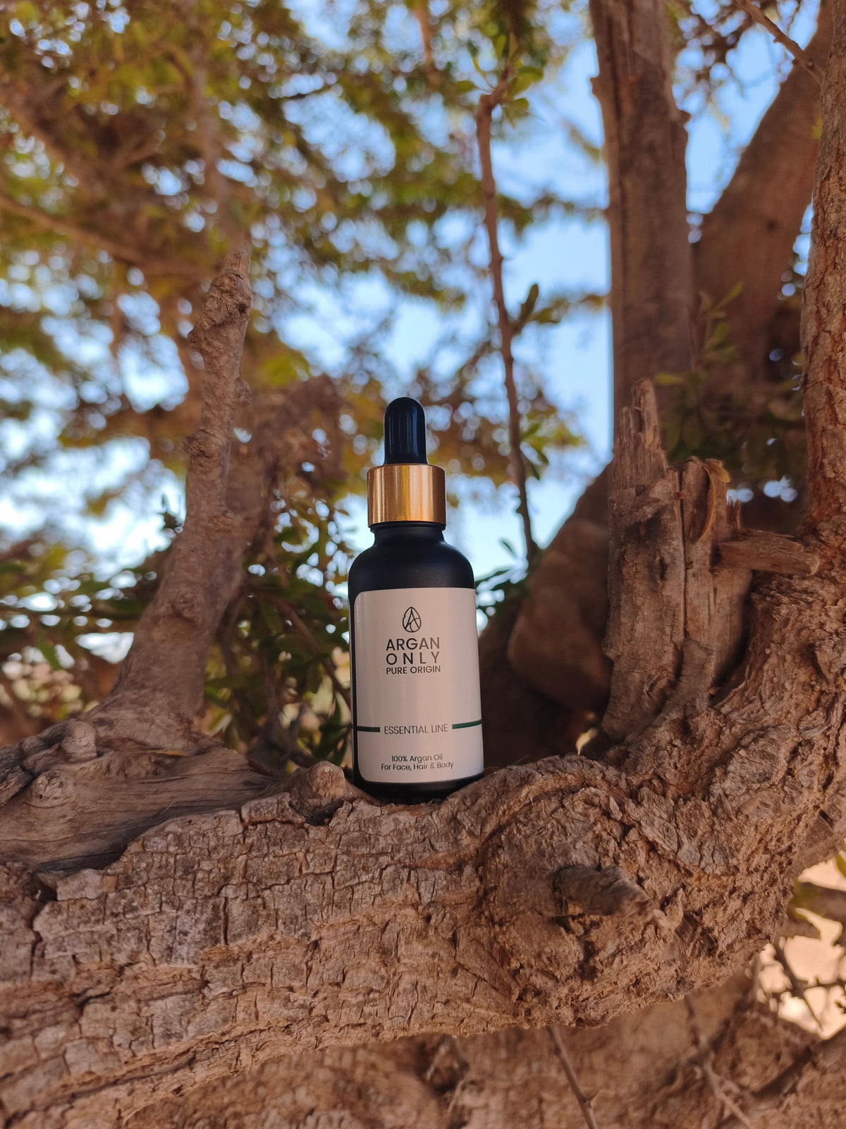 Een flesje Argan Only Essential tussen boomtakken