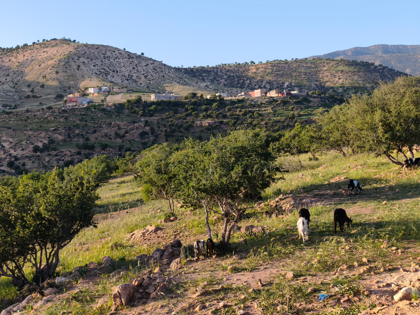 Landschap in Marokko